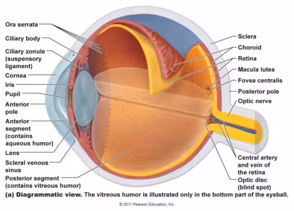 Eye Diagram