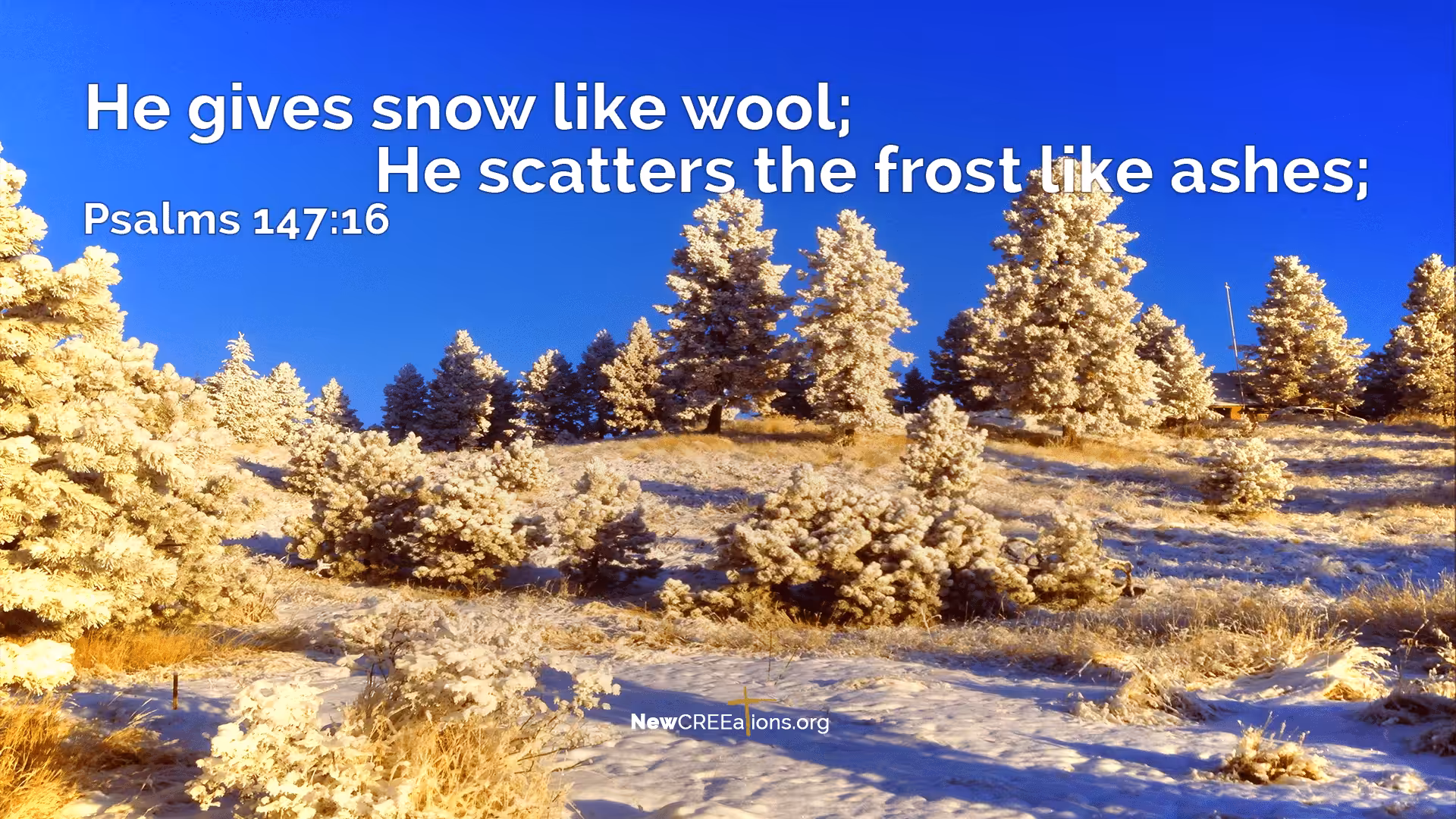 Psalms 147:16