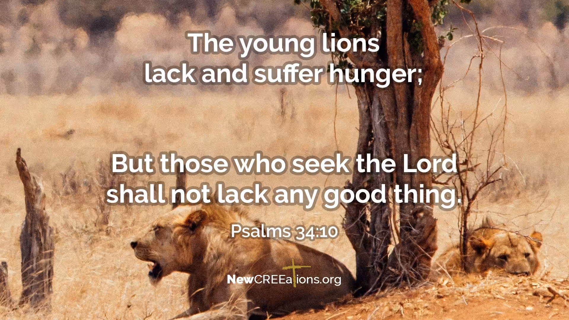 Psalms 34:10