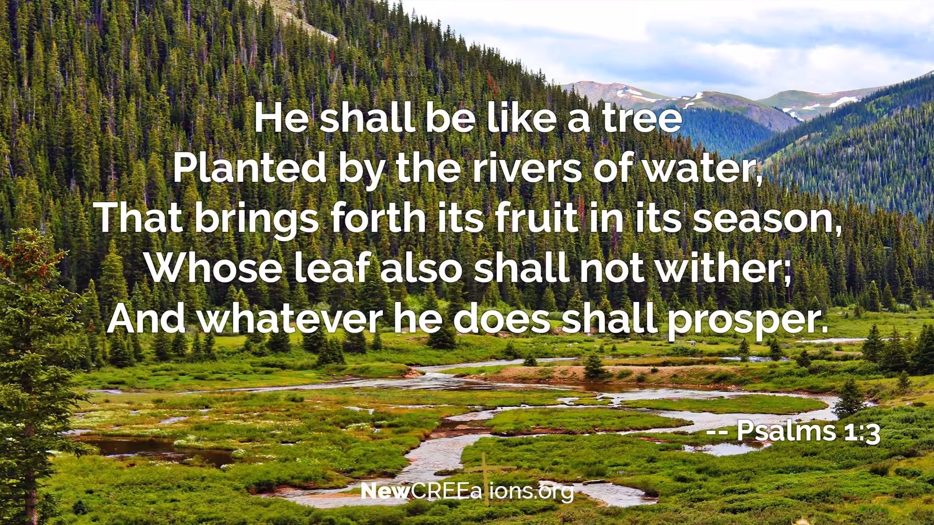 Planted in God's Blessing - Psalms 1:3 1 Psalms 1:3