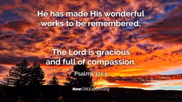 Beauty Points to God - Psalms 111:4 2 Psalms 111:4