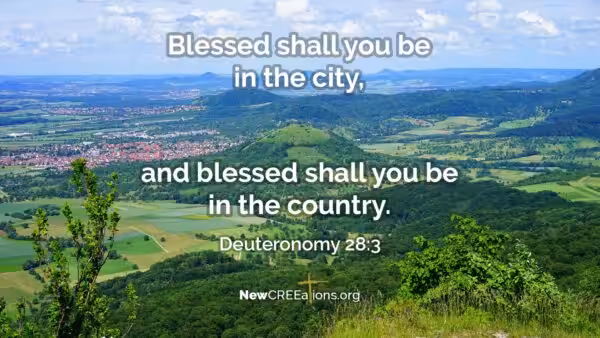 Deuteronomy 28:3