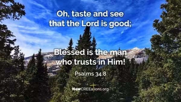 Experience God's Goodness - Psalms 34:8 2 Psalms 34:8