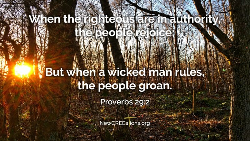 Words From the Heart - Luke 6:45 - NewCREEations