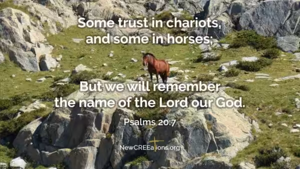 Where Is Your Trust? - Psalms 20:7 2 Psalms 20:7