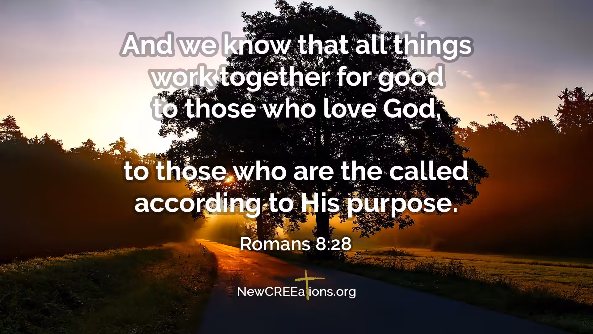 Romans 8:28