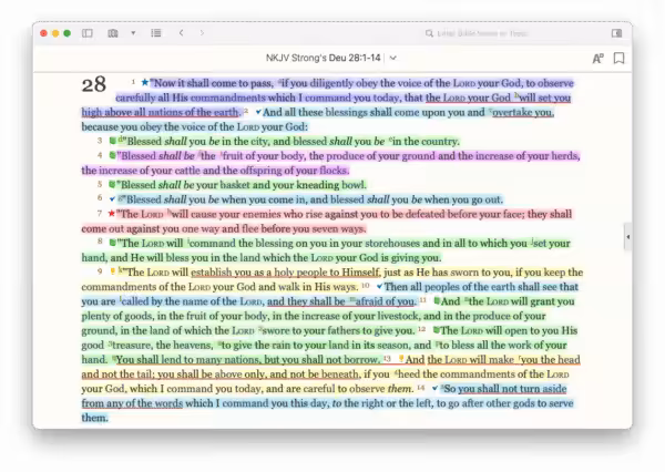 Deuteronomy 28 screenshot
