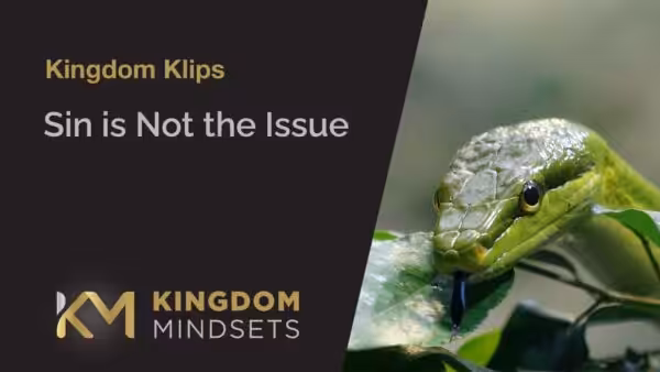 Sin is Not the Issue video cover